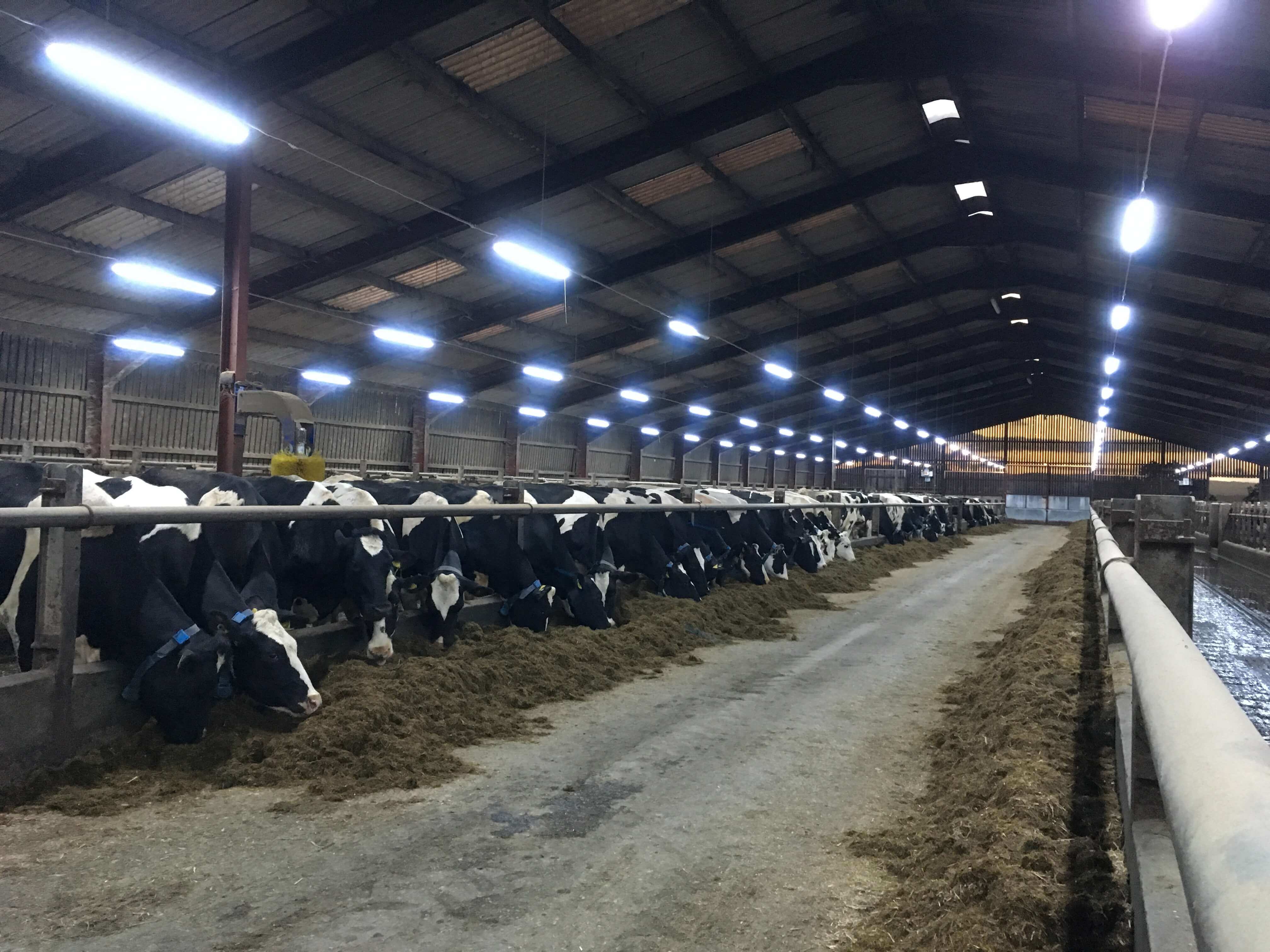 Farm Electrical Contractors for Cheshire & Greater Manchester